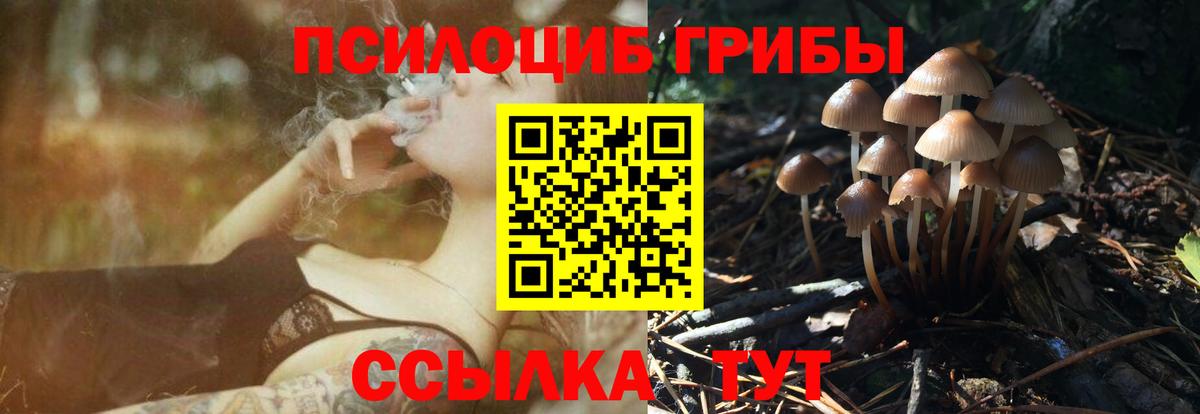 Псилоцибиновые грибы прущие грибы Карачаевск