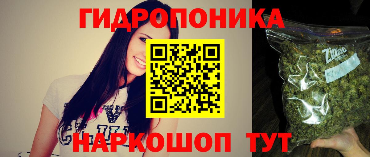 Каннабис семена  Конопля Ganja  Марихуана White Widow  Вход с VPN  Канабис семена  Карачаевск 